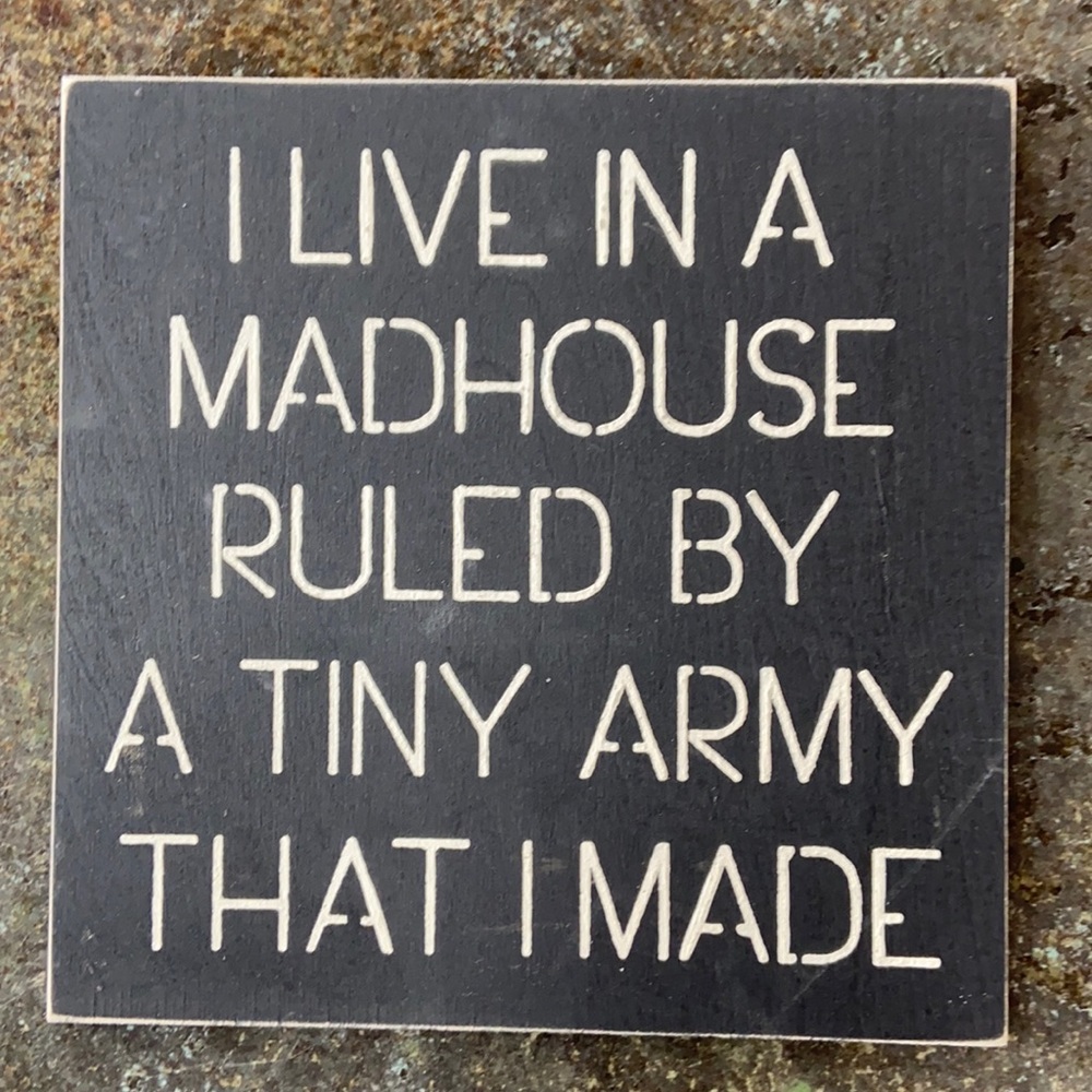 Wall hanging: “I live in a madhouse ruled by a tiny army that I made”
